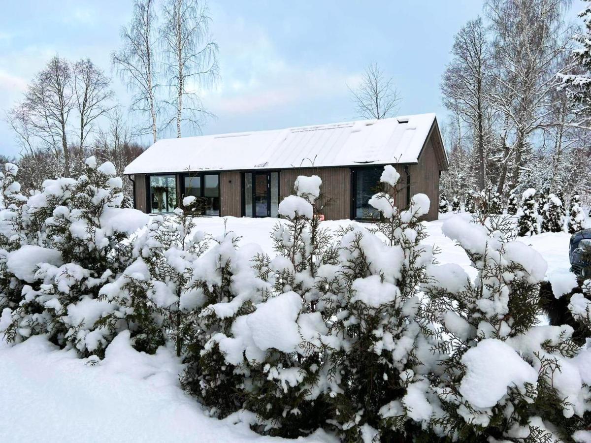 Paerli Puhkemaja / Pearl Riverside House Pudisoo Exteriör bild