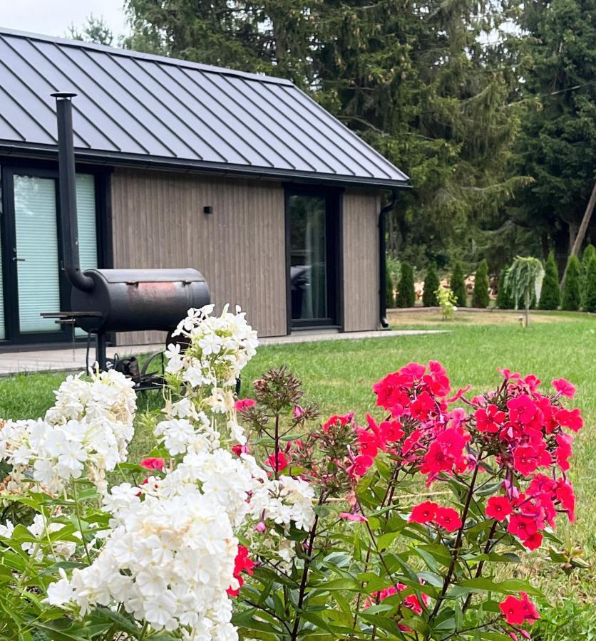 Paerli Puhkemaja / Pearl Riverside House Pudisoo Exteriör bild